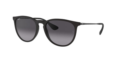 Ray-Ban Erika RB4171