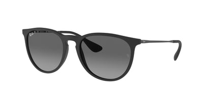 Ray-Ban Erika RB4171