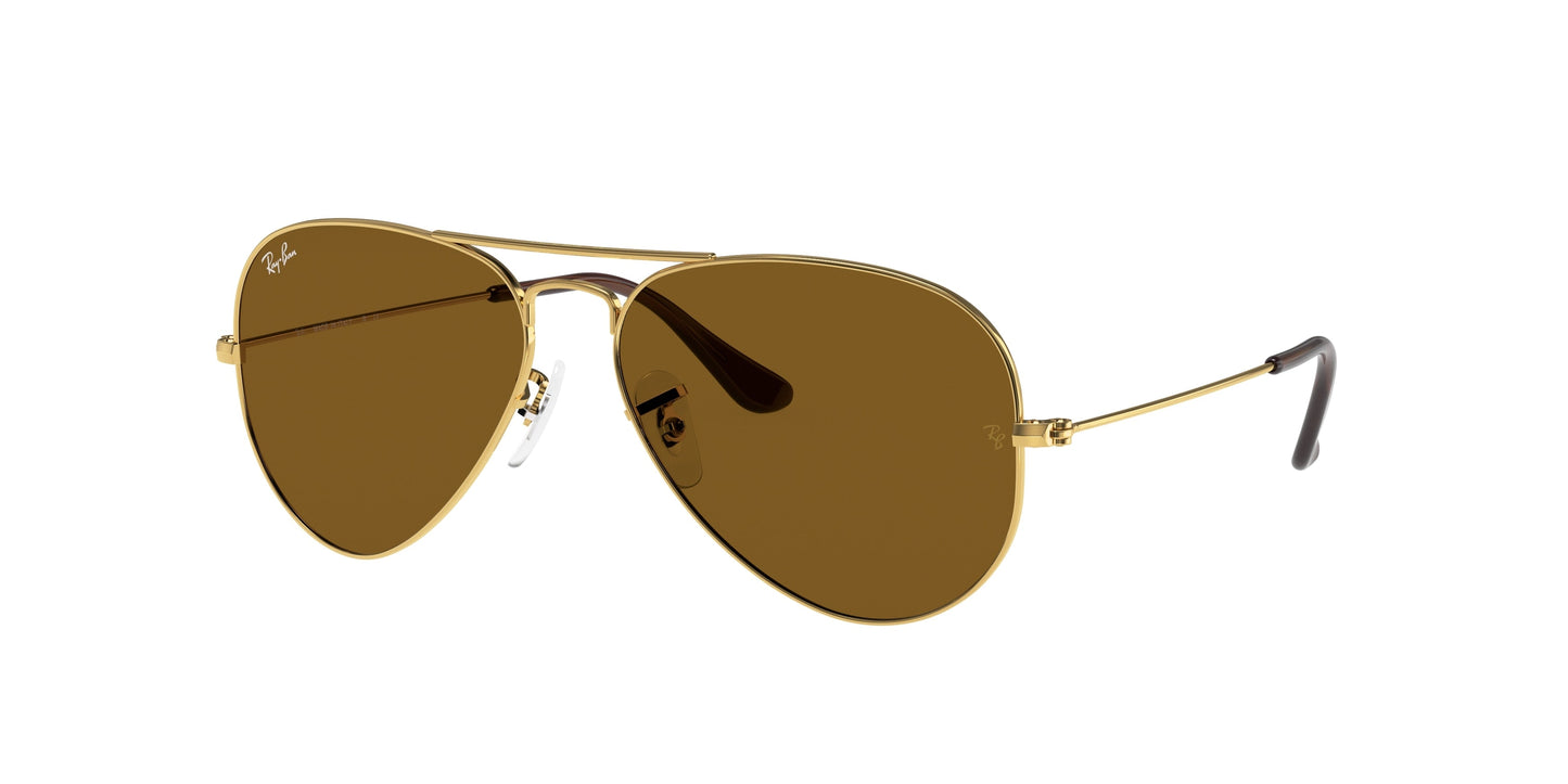 RAY-BAN AVIATOR SUUR RB3025